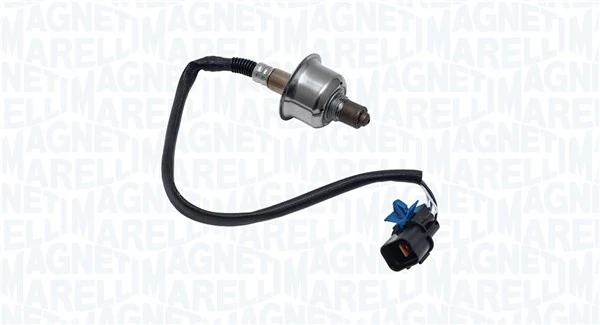 Oxygen Sensor